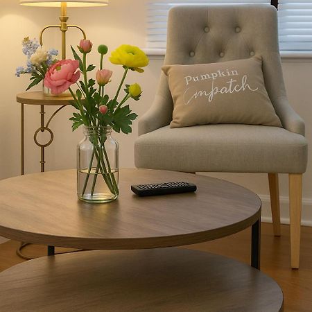 Beautiful Bright Three Bedroom House In Brighton And Hove With Free Parking エクステリア 写真